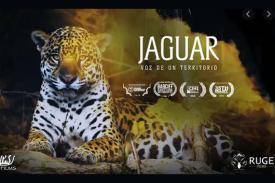 poster for Jaguar, Voice of a Territory, pic of jaguar